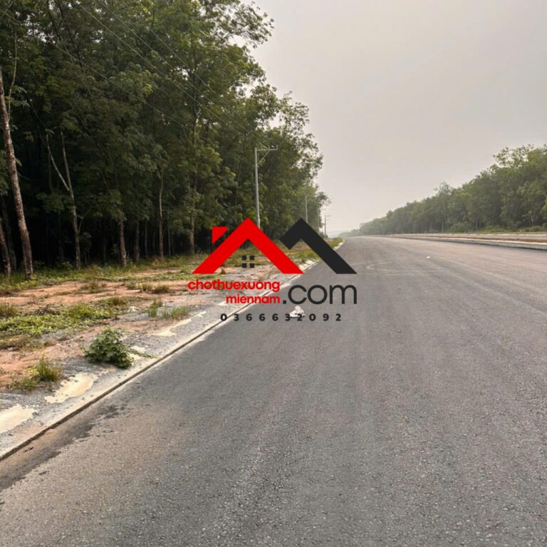 Cho Thuê Đất Mặt Tiền Đường Tạo Lực Bắc Tân Uyên – Phú Giáo – Bàu Bàng, Bình Dương