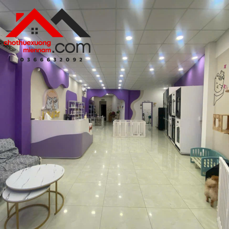 Cho Thuê Mặt Bằng Đẹp Tại Thích Quảng Đức, Phú Cường, Thủ Dầu Một, Bình Dương