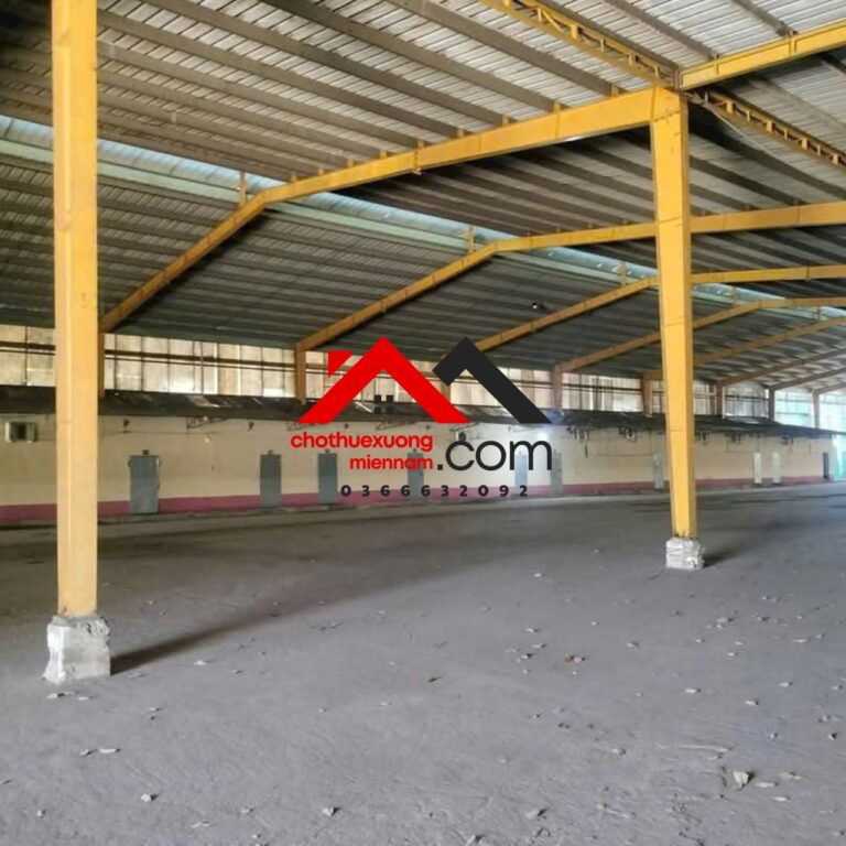 Cho Thuê Xưởng Phú Giáo, Bình Dương – Diện Tích 12.000m², Giá Thuê 1.9 USD/m²