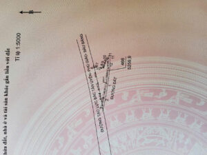 Cho Thuê Đất Đường Tạo Lực Bắc Tân Uyên – Phú Giáo – Bàu Bàng Bình Dương