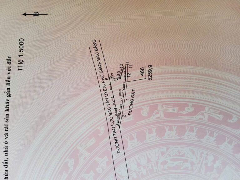 Cho Thuê Đất Đường Tạo Lực Bắc Tân Uyên – Phú Giáo – Bàu Bàng Bình Dương