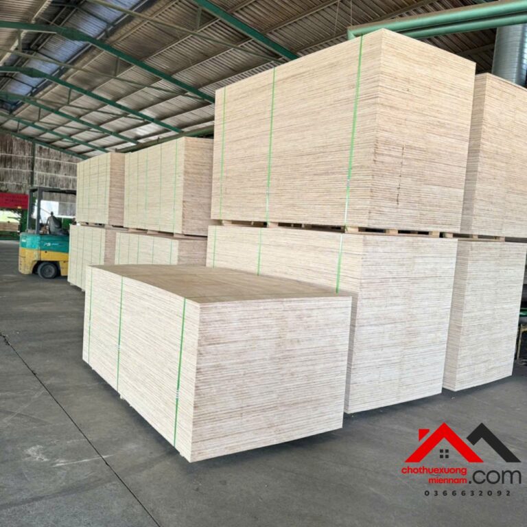 Cho thuê xưởng Bình Mỹ Bắc Tân Uyên 3500m², gần VISIP 3, giá tốt