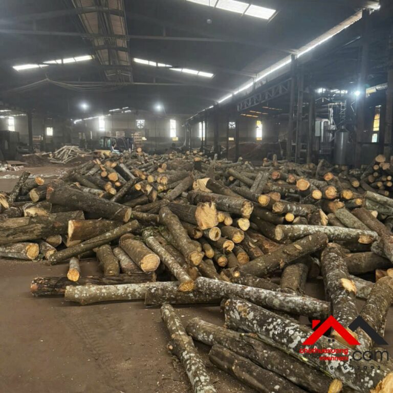 Xưởng 3.500m² cho thuê tại Bắc Tân Uyên, ưu tiên ngành gỗ, điện 1000kVA