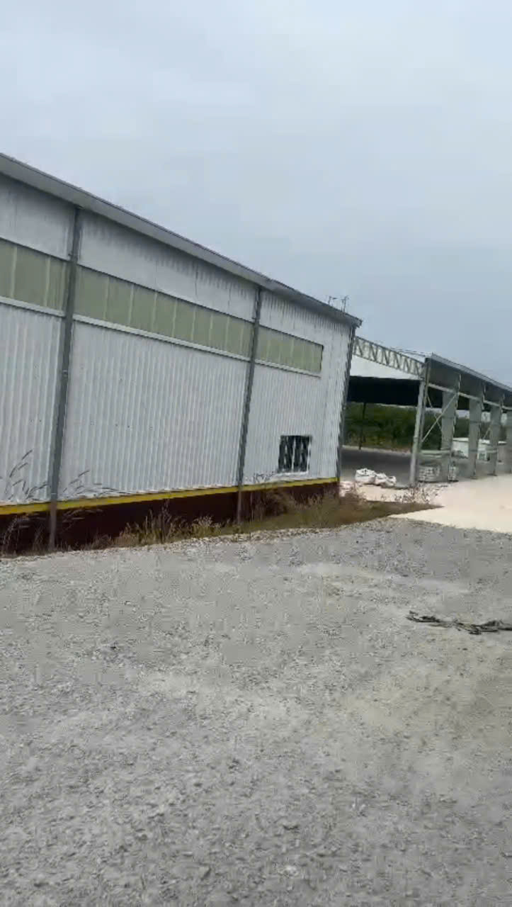 Bán xưởng mới giá ngộp 23.000m² tại Tân Định, Bắc Tân Uyên – Bình Dương | SKC 7.000m², pháp lý đầy đủ 