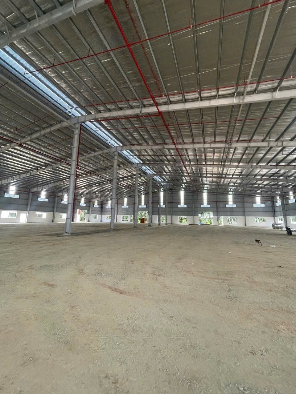 nha-xuong-11300m2-van-phong-300m2-ngoai-kcn-bau-bang-binh-duong