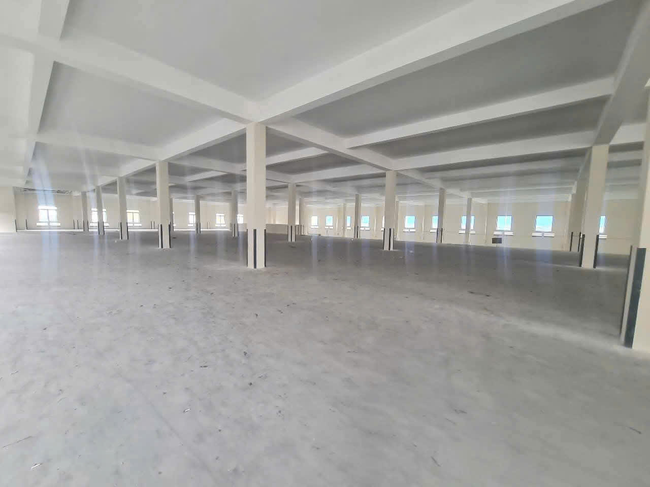 cho-thue-xuong-det-nhuom-12400m2-kcn-le-minh-xuan-3